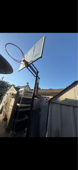Lifetime portable basketball hoop