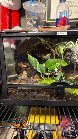 TERRARIUM