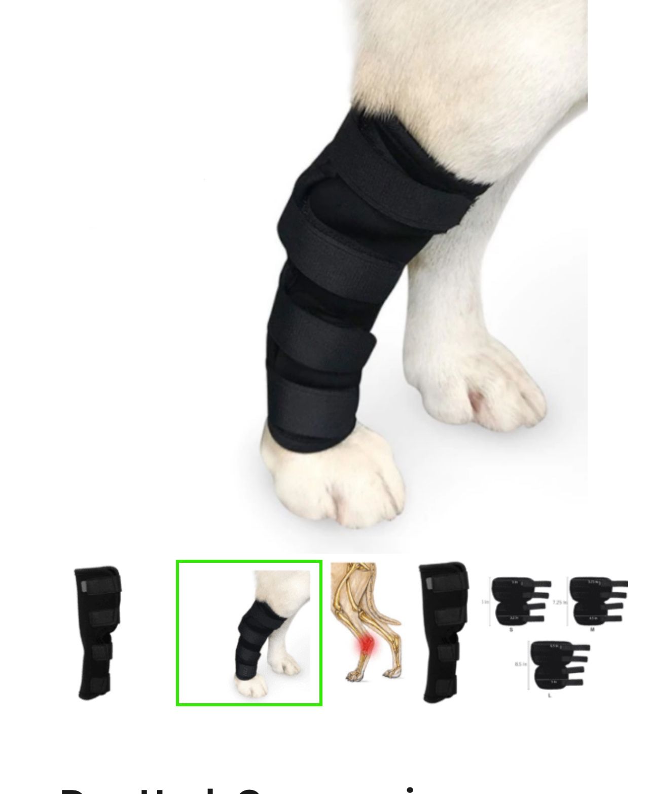 Dog Hock Brace Size L