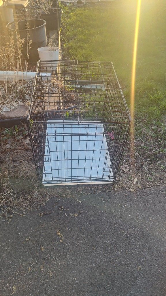 Dog Kennel