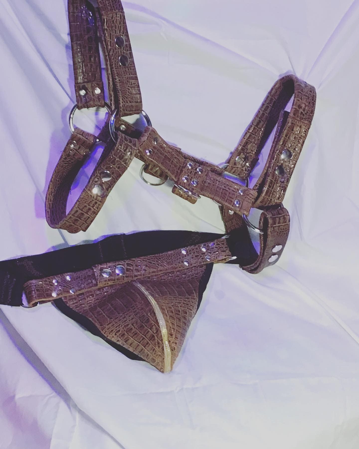 Leather Harness And Jockstrap Crocodile Print Leather Or I'm Just Starting