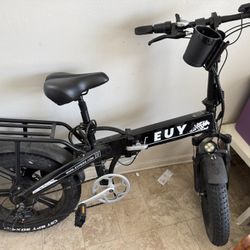 Electric Bike