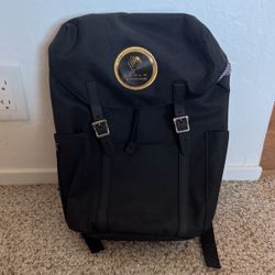 Tesla backpack