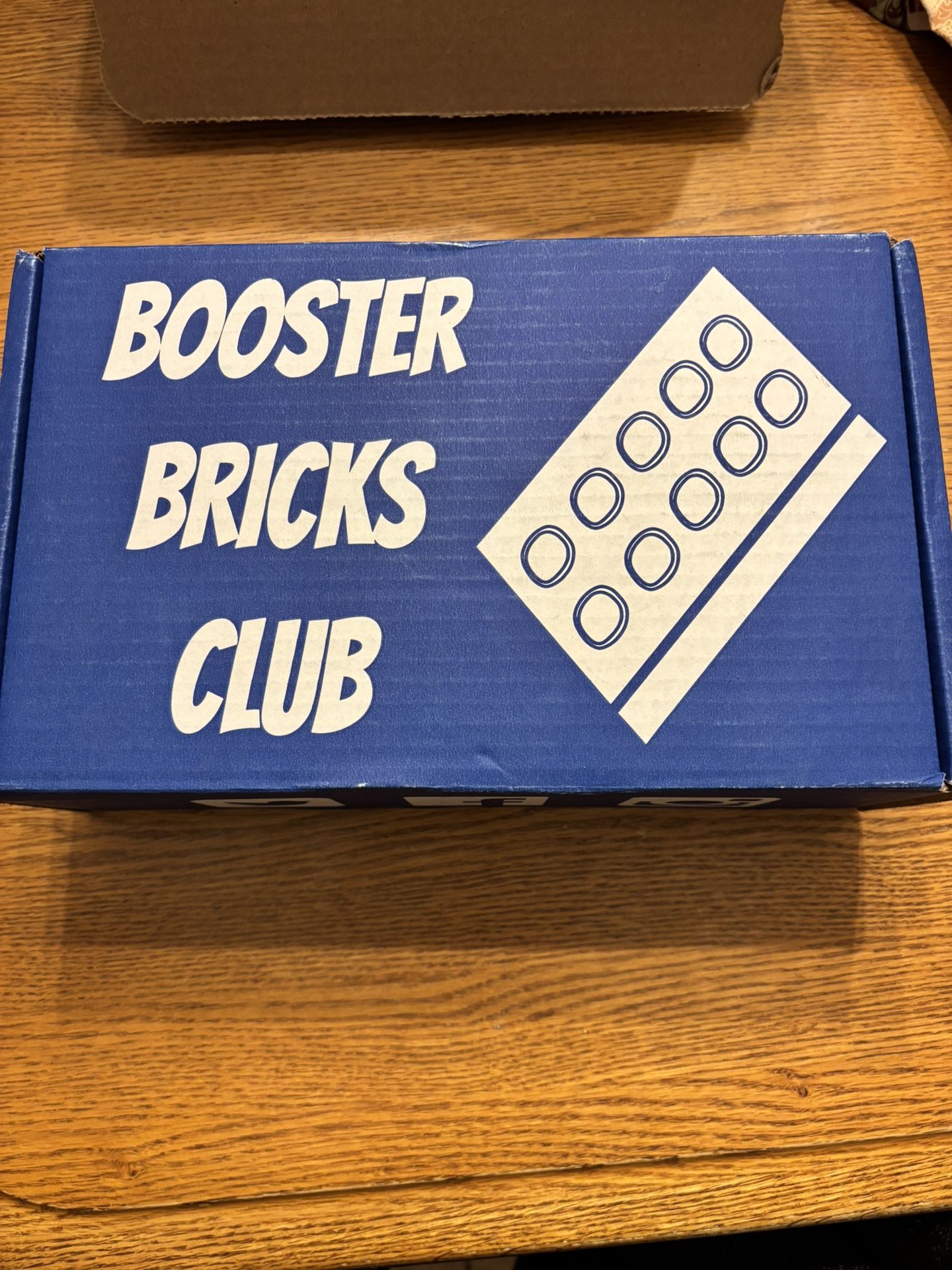 Booster Bricks (L.E.G.O) The Recycle Hero