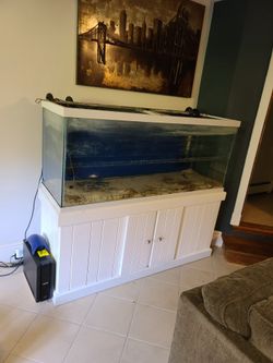120G Fishtank With Custom Stand