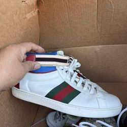 gucci size 10