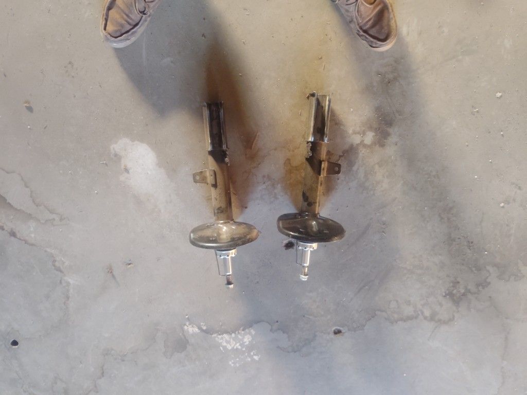Rear Struts 