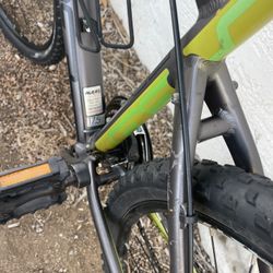 🚲🚲🚲🚲🚲🚲