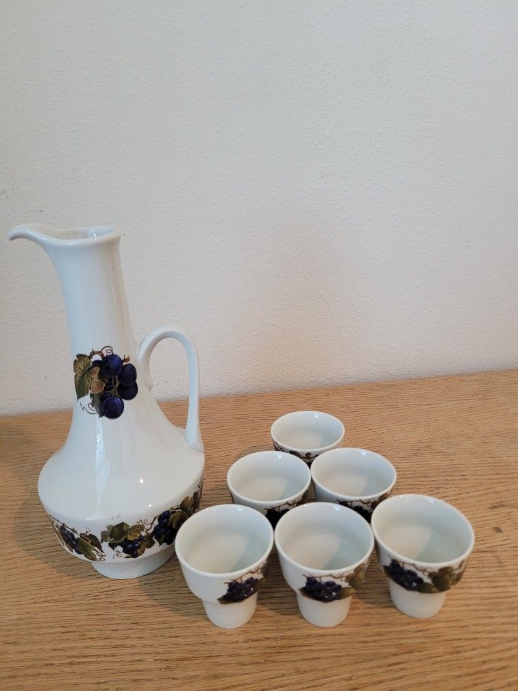 Wine Decanter and 6 Shots Glasses