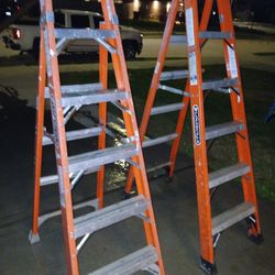 6 Ft Ladder