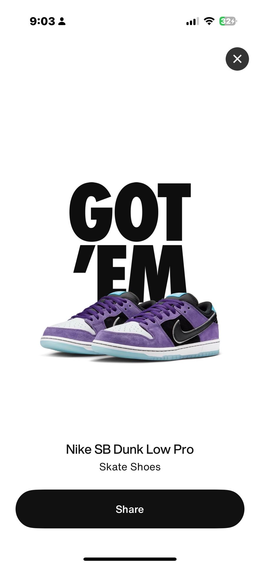 Nike Sb Dunks Hayley Wilson