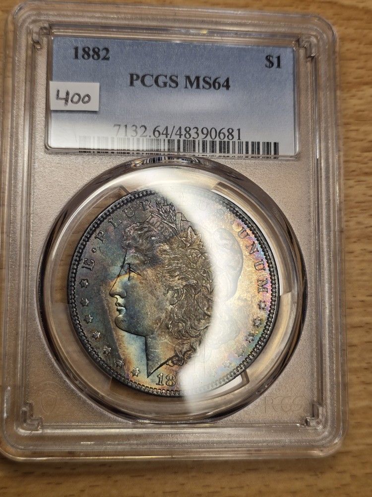Toned Morgan Silver Dollar