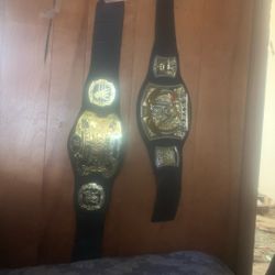 WWE Champion Belt