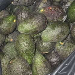 Avocados/ aguacates