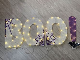 Hyde and Eek Halloween White Light Up Mesh BOO Yard Outdoor Decor Bat Spiderweb