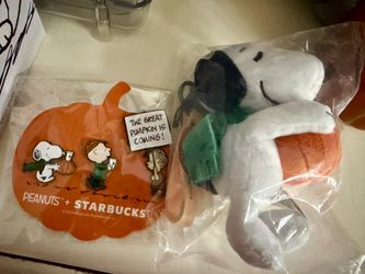 Snoopy key chain and pins