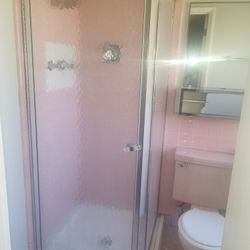Corner Shower Door