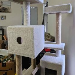 Cat Tree, Scratching Post, And Cat Bed