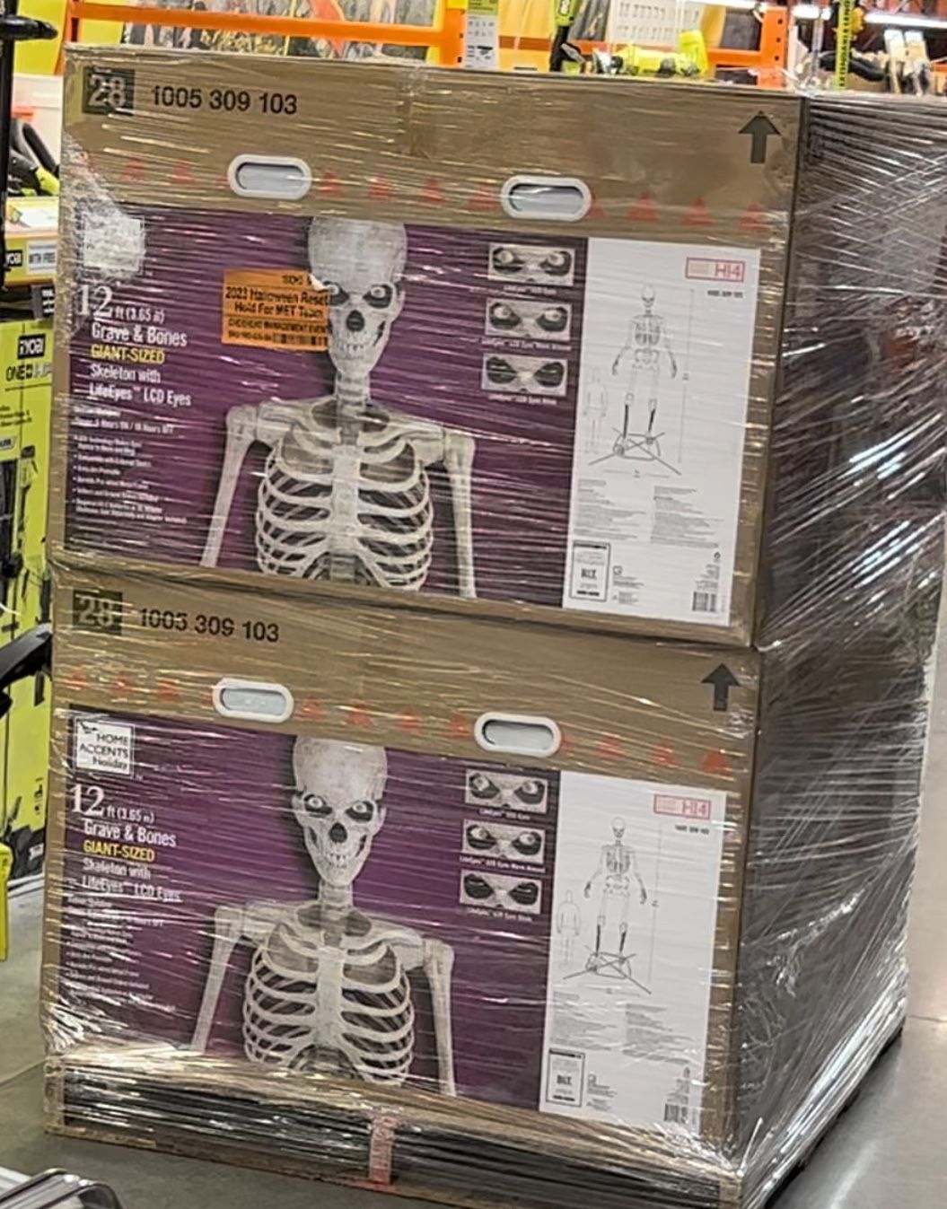 12 Ft Skeleton “Skelley” Home Depot