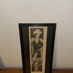 Torada Tequila Ad Frame 