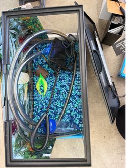 3 gallon fish tank with everything you need
