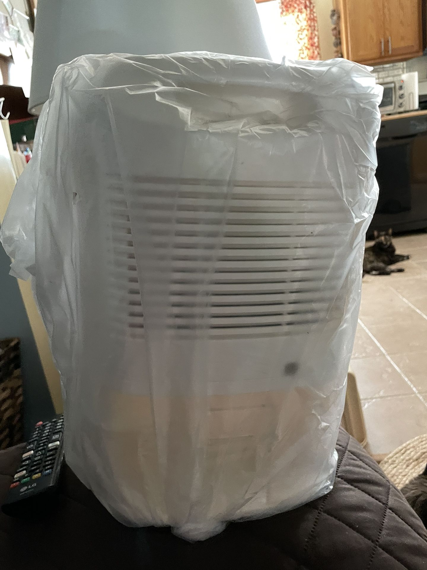 Dehumidifier