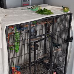 Large Birdcage With Wheels And Under Storage.