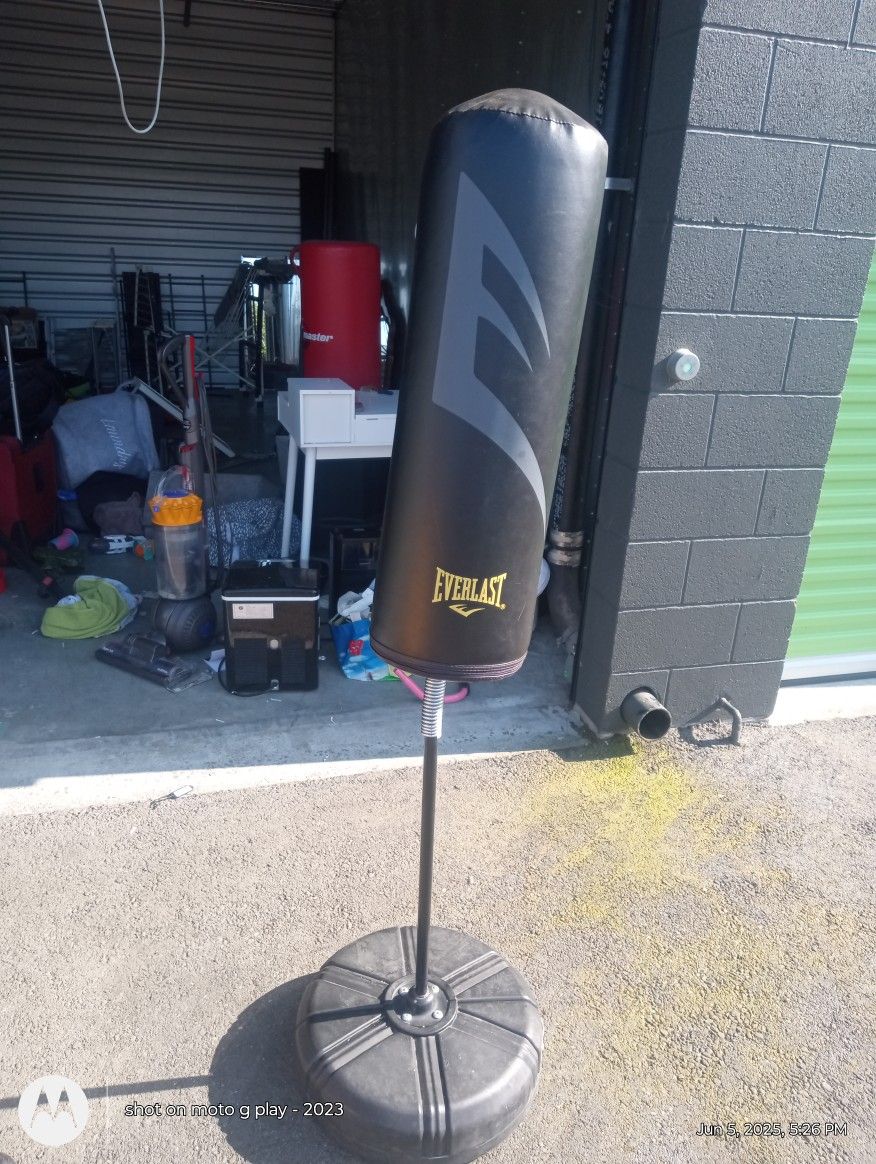 Everlast Punching Bag