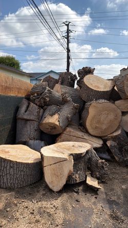 Free firewood
