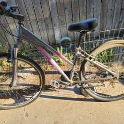 Woman's Schwinn Bike 