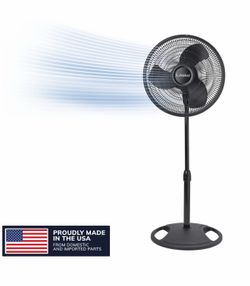 New fan