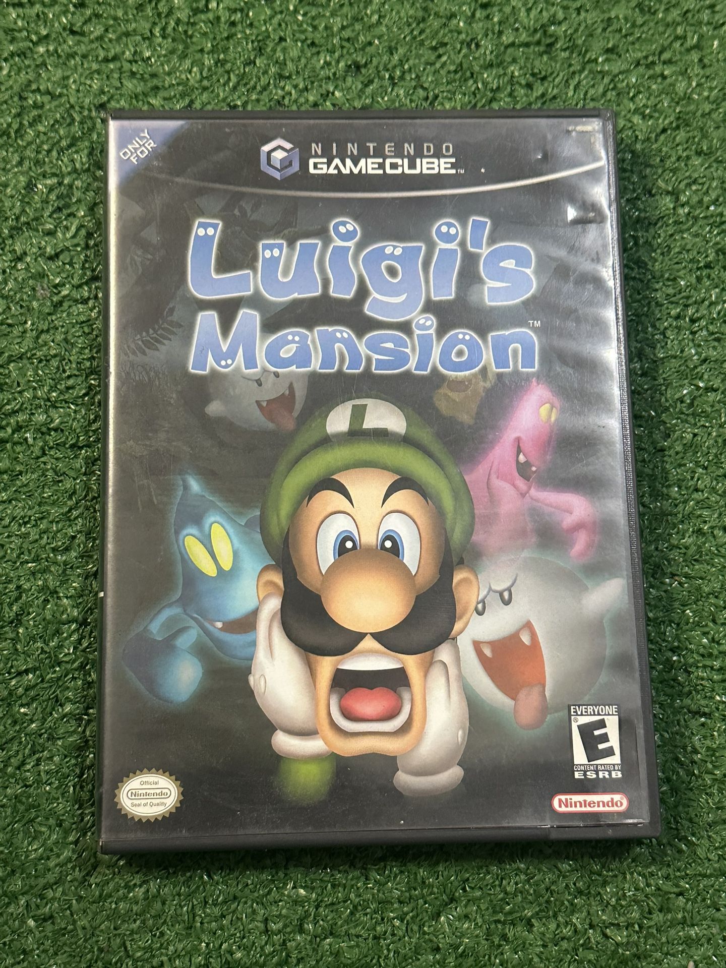 Luigi’s Mansion