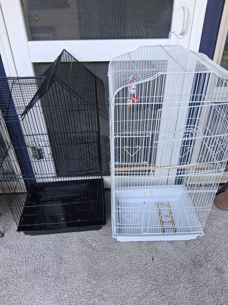 Bird Cage