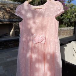 Pink Princess Vail Dress
