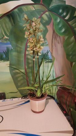 Artificial orchid new