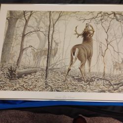November Frost-Whitetail Art