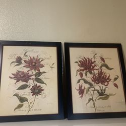H.I Framed Pictures