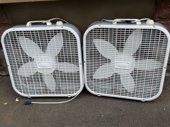 fan