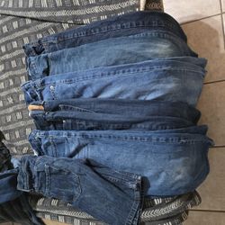 5 Pairs 10 Regular Boys Levi's 1 Shorts (3 505, 1 569, 1 550, 1 Pair 24 Shorts)