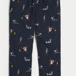 Mens 24/7 straight looney tunes pajama pants size large