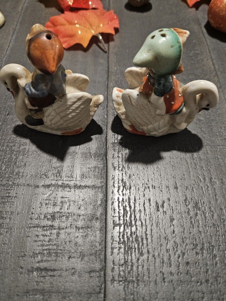 Salt And Pepper Antique Shaker