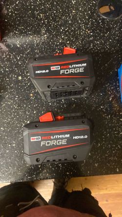 12.0 forge batteries.