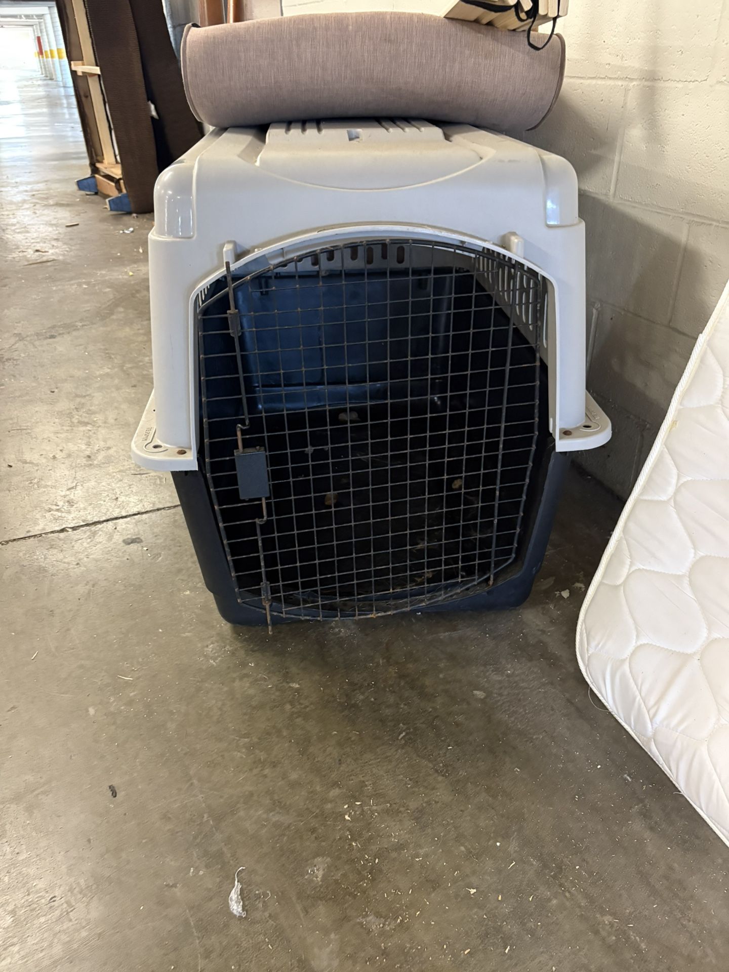 Used Dog crate