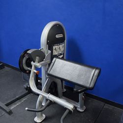 Nautilus Bicep Curl/ Tricep Extension