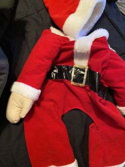 Dog Christams Costume