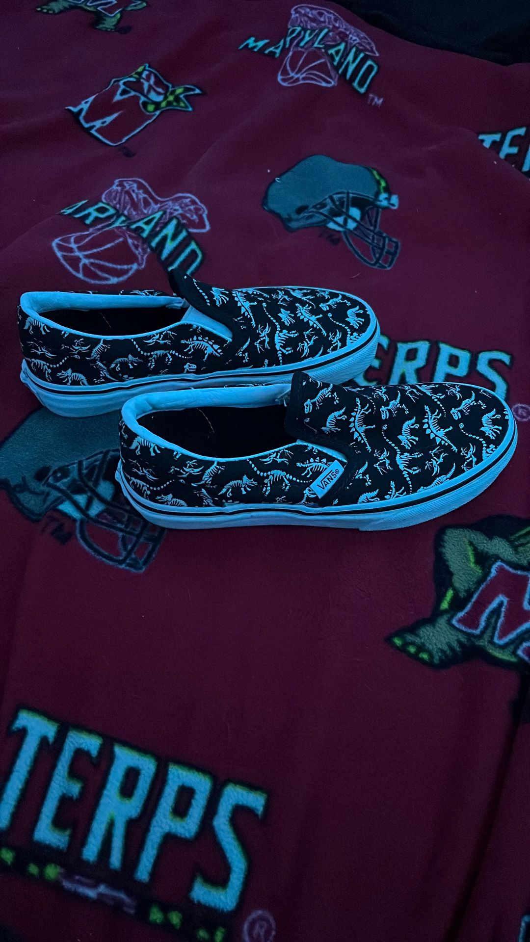 Kids Vans Size 1.5 Never Used
