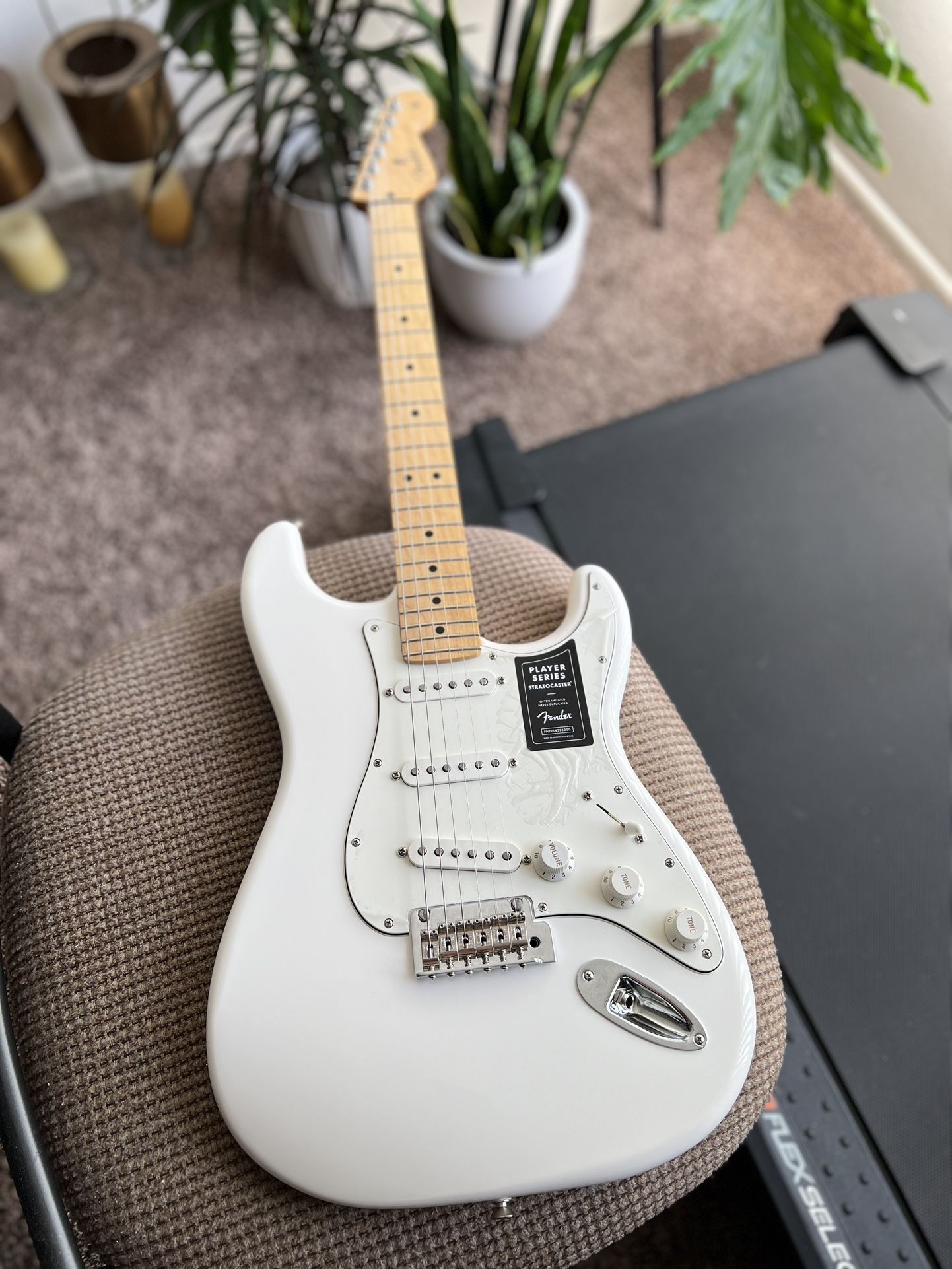 Fender Player Stratocaster