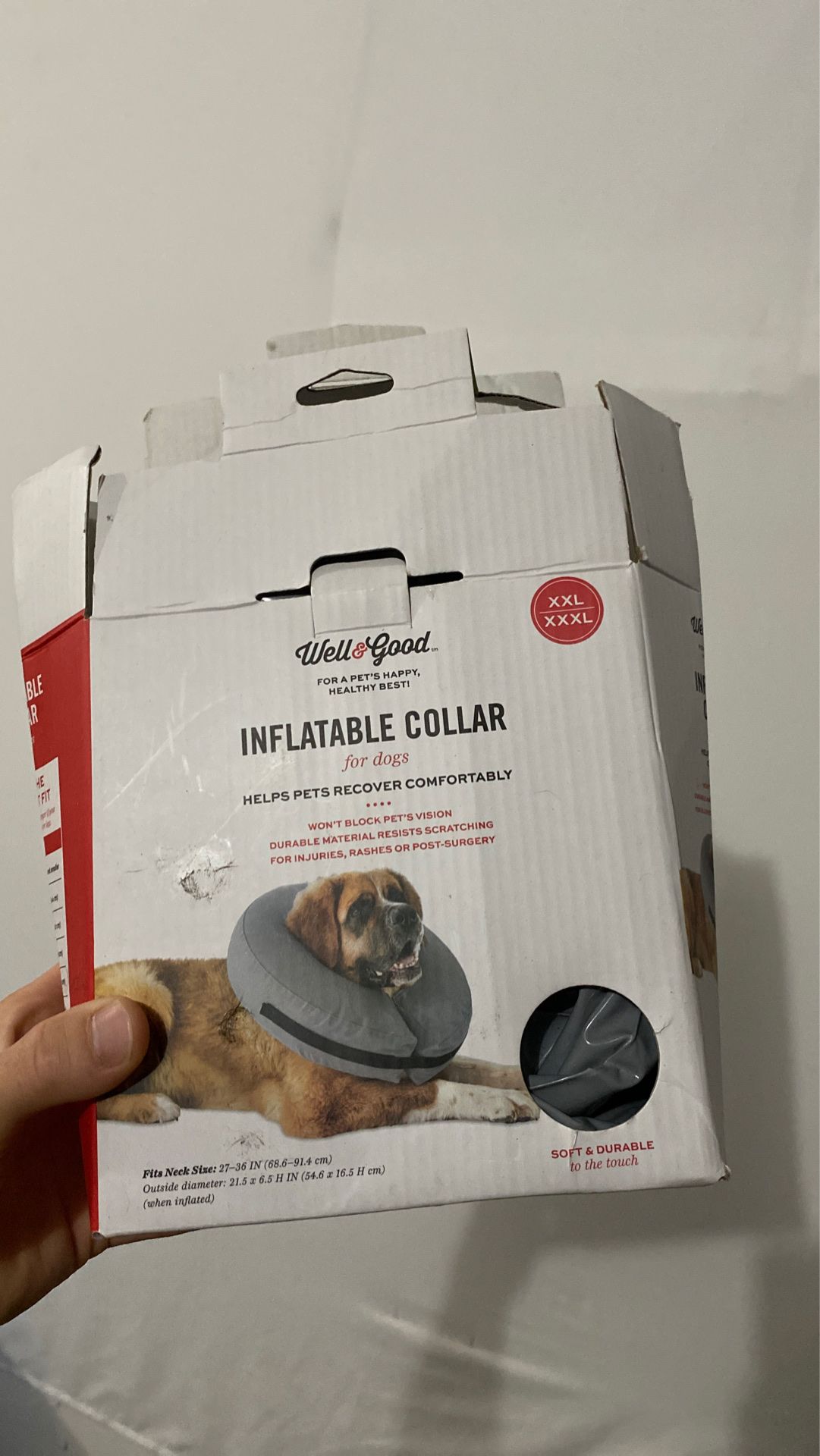 Inflatable collar for dog