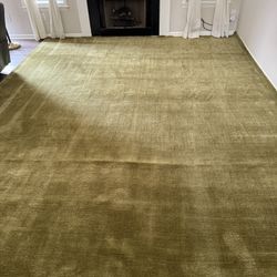New Green Wool HandWoven Area Rug