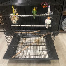 Lovebird Cage 